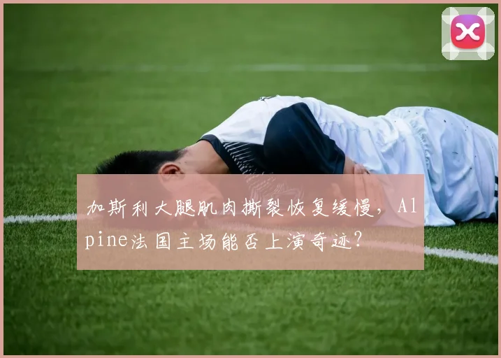 加斯利大腿肌肉撕裂恢复缓慢，Alpine法国主场能否上演奇迹？